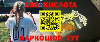 стафф Гатчина
