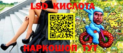 стафф Гатчина