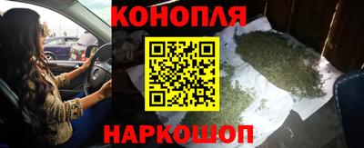 стафф Гатчина