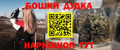 стафф Гатчина