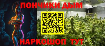 стафф Гатчина
