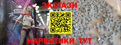 стафф Гатчина