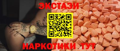 стафф Гатчина