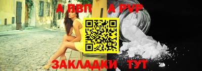 стафф Гатчина