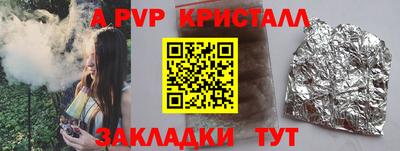 стафф Гатчина