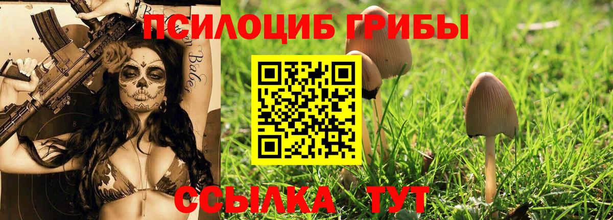 Галлюциногенные грибы MAGIC MUSHROOMS Уварово